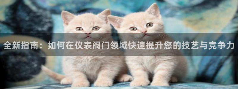 新宝gg辅助