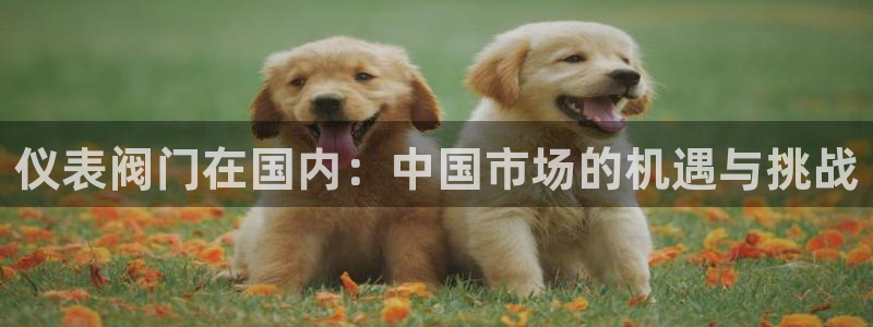 新宝gg 金苹果