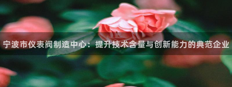 新宝GG之家