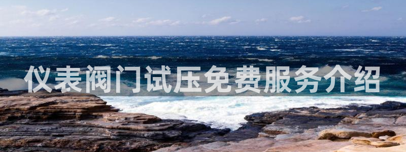 新宝GG用哪个网址登录