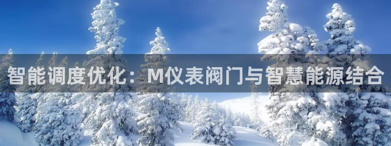 新宝gg体彩