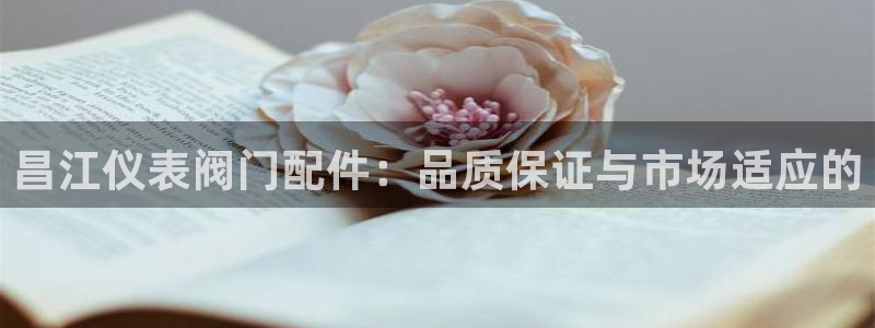 广东新宝电器gg