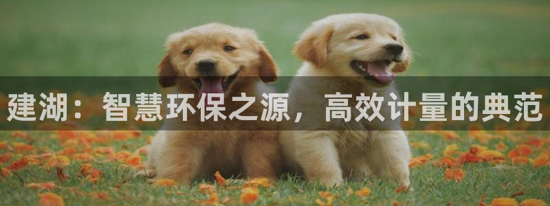 新宝gg创