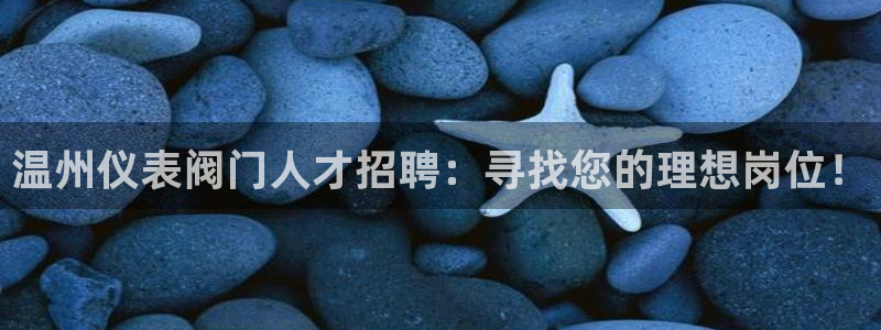 新宝gg专线