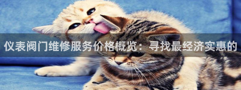 新宝gg用哪个浏览器