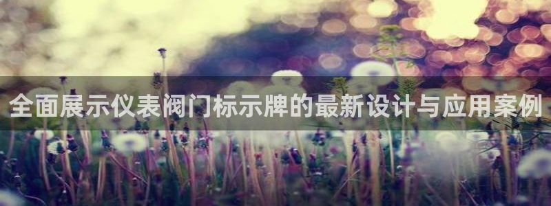 新宝gg 主管