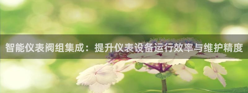 新宝gg平