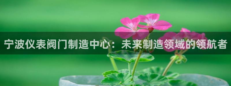 新宝gg咨询55312