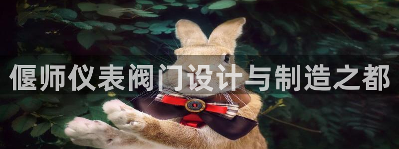 新宝gg主管花木兰