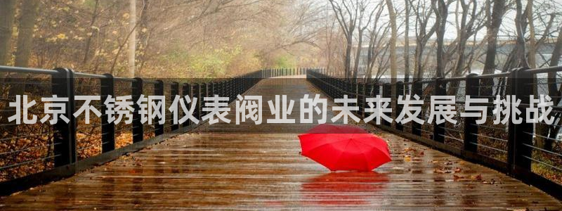 认准新宝gg