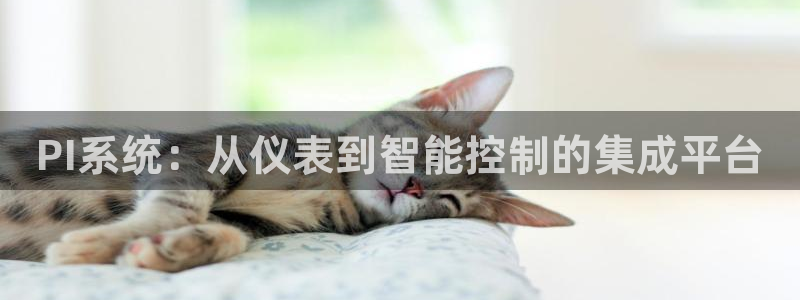 新宝GG 扣.772332