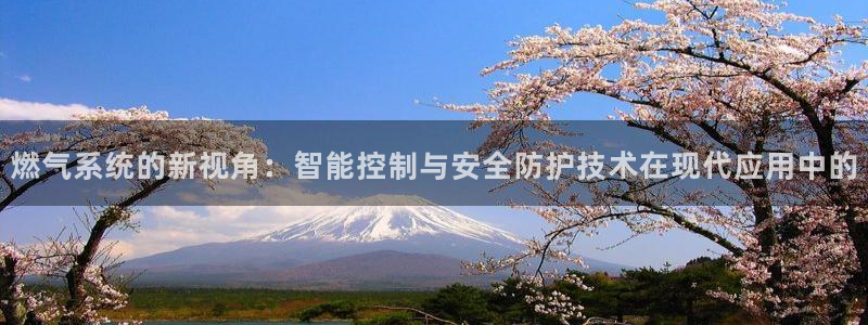 新宝gg开好