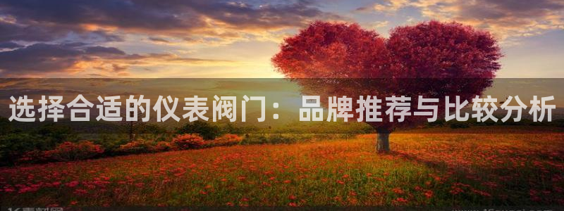 新宝GG管理