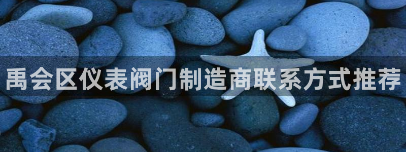 新宝GG股东