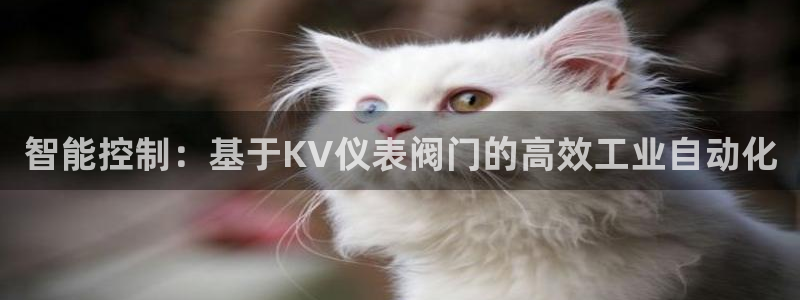 新宝gg帐号注册