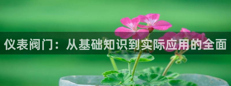 宝GG账78778新宝GG俪78778