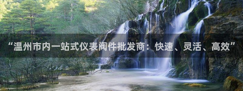 新宝gg最