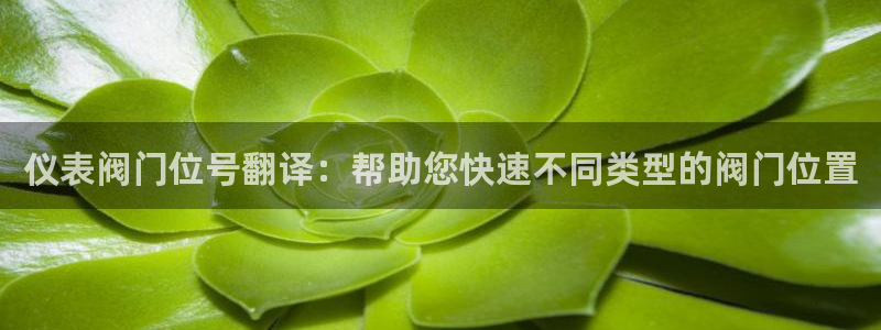 新宝gg评论