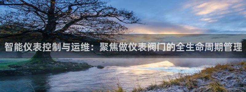 新宝gg怎么样