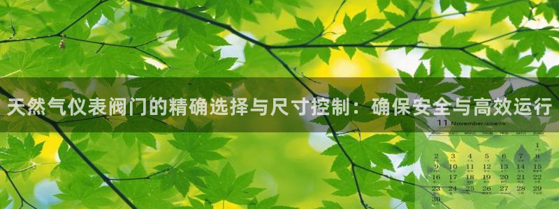 新宝gg评论