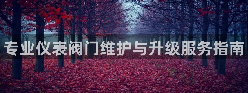 新宝Gg测速地址