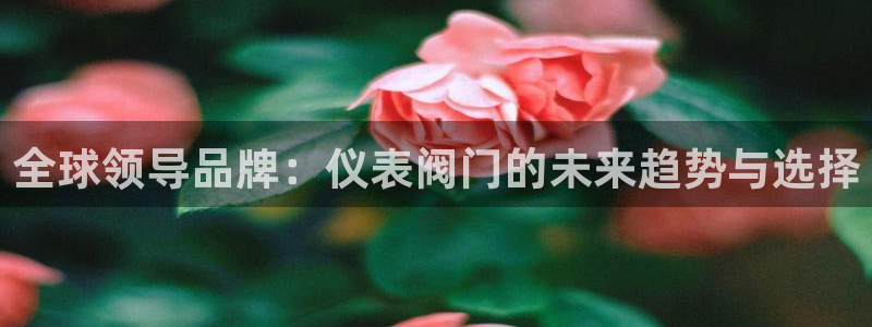 新宝gg奖金
