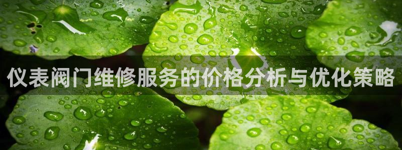 新宝gg主管花木兰