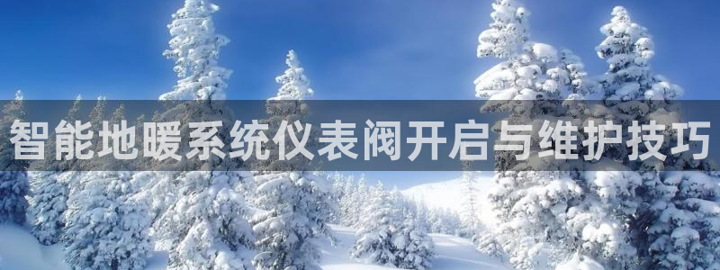 新宝gg网投