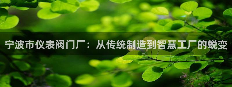认准新宝gg