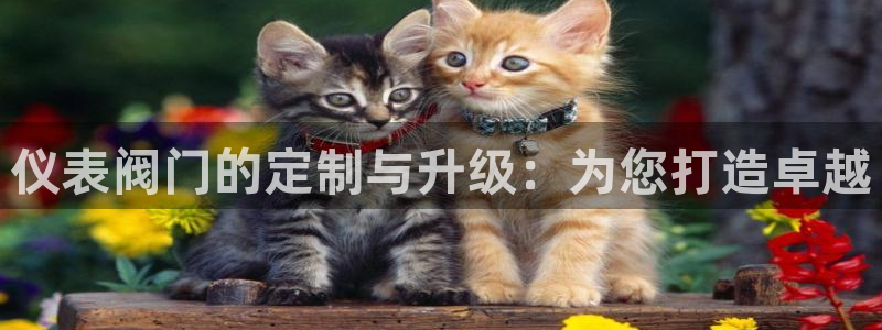 新宝_gg
