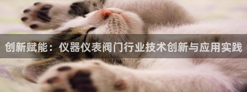 新宝gg总代理