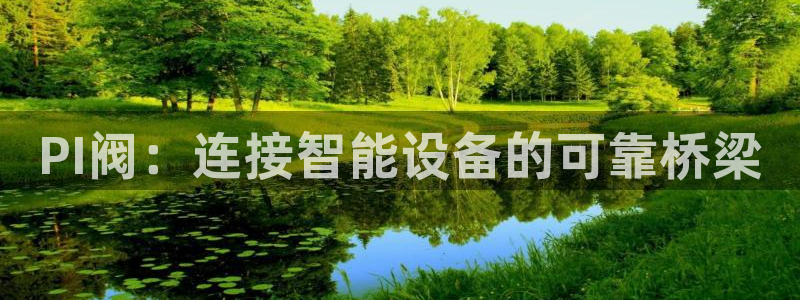 新宝GG链接