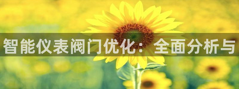 新宝gg软件