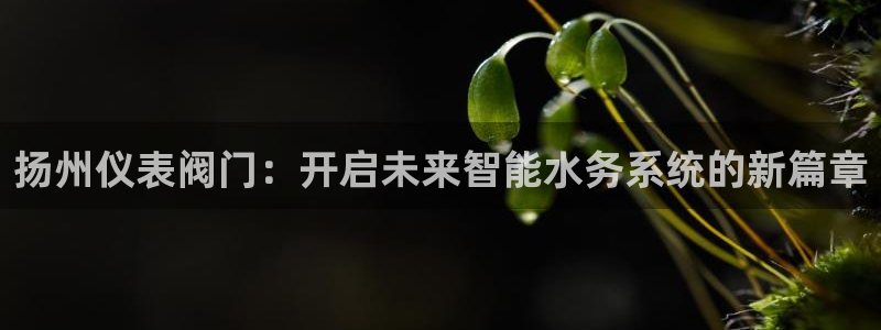 新宝gg平台首页