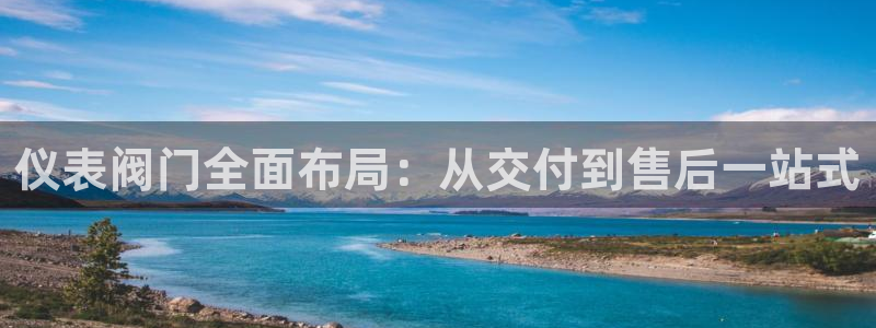 新宝gg 登录页面