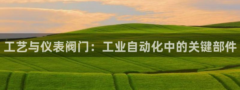 新宝 gg 下载