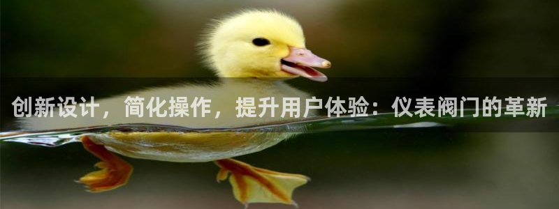 新宝gg 内部 8
