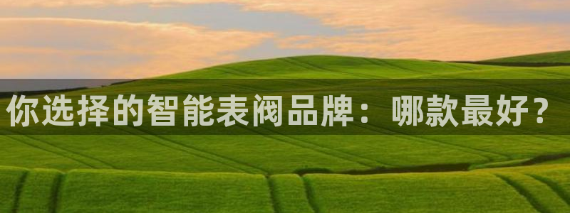 新宝gg平台反水