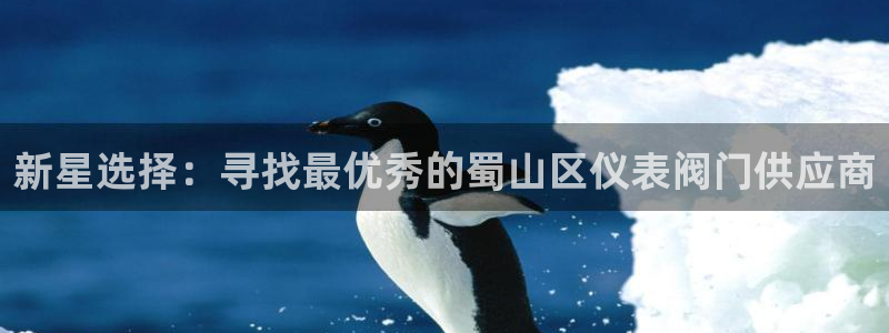 新宝一gg测速