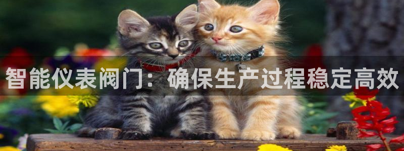 新宝GG娱