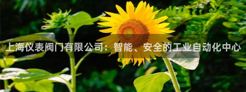宝GG账78778新宝GG俪78778