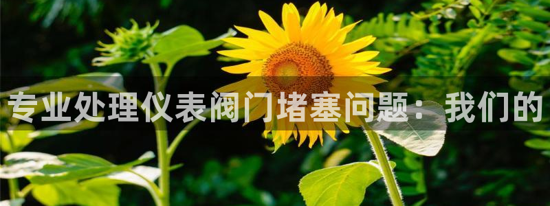 新浪新闻新宝gg