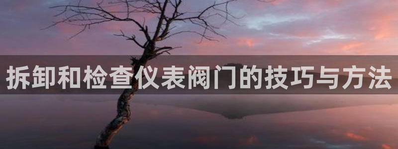 新宝gg 登陆