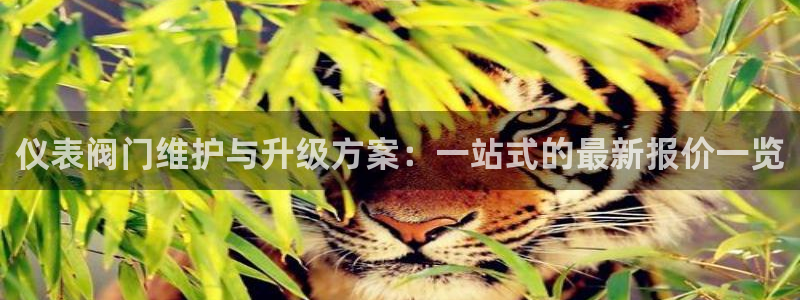 新宝gg平台怎么样