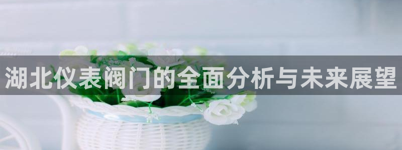 新宝gg娱乐注册