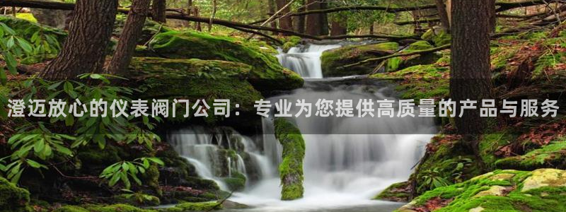 新宝gg 登录页面