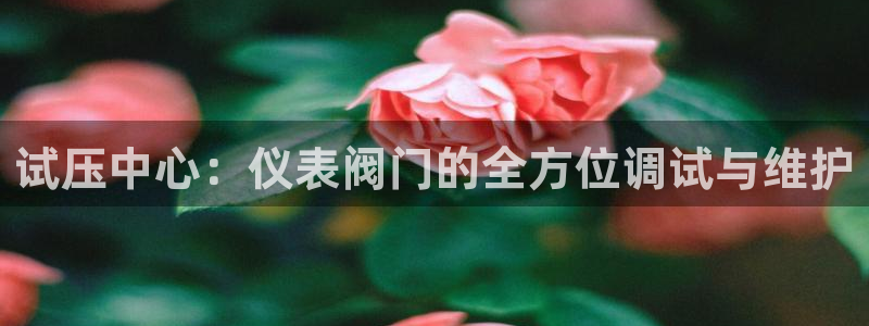 新gg宝