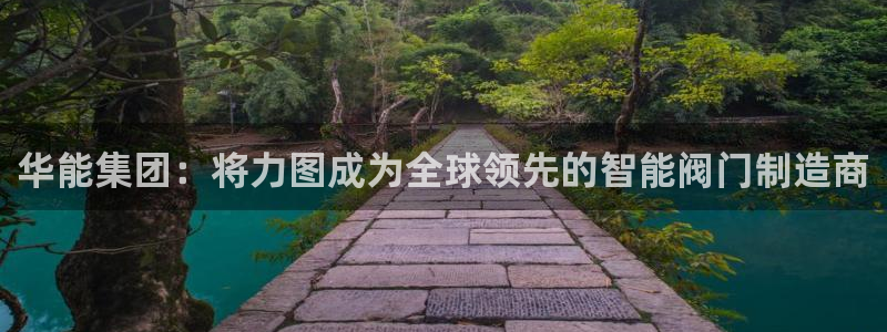 新宝gg走势