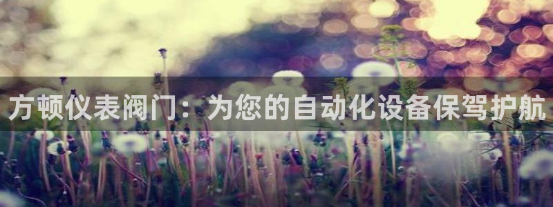 新宝gg盈亏
