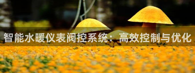 娱乐新宝GG